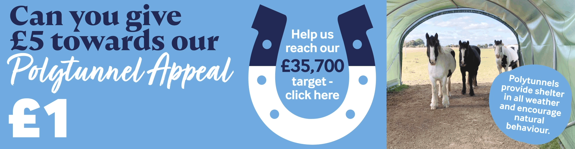 Desktop Bransby Horses