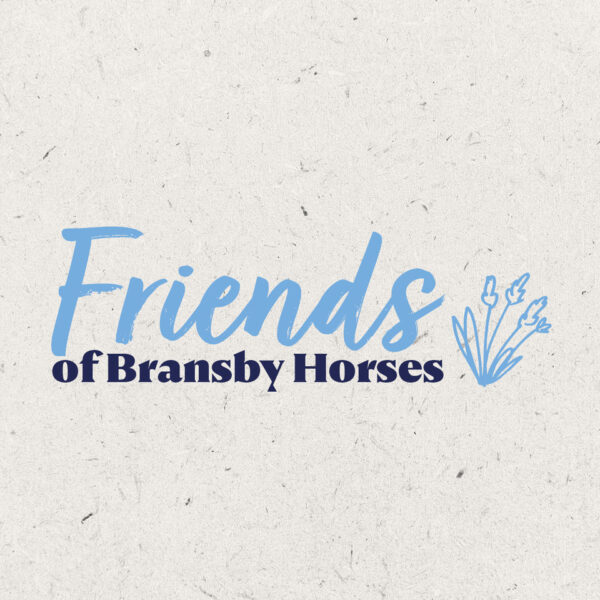 friends of Bransby horses