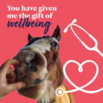 £100 A Gift of Wellbeing