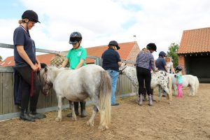 'Five Freedoms' Trail & Pony Grooming @ Bransby Horses  | Bransby | England | United Kingdom