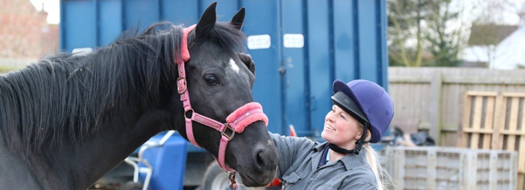 member of staff stroking a black horse wearing a pink headcollar