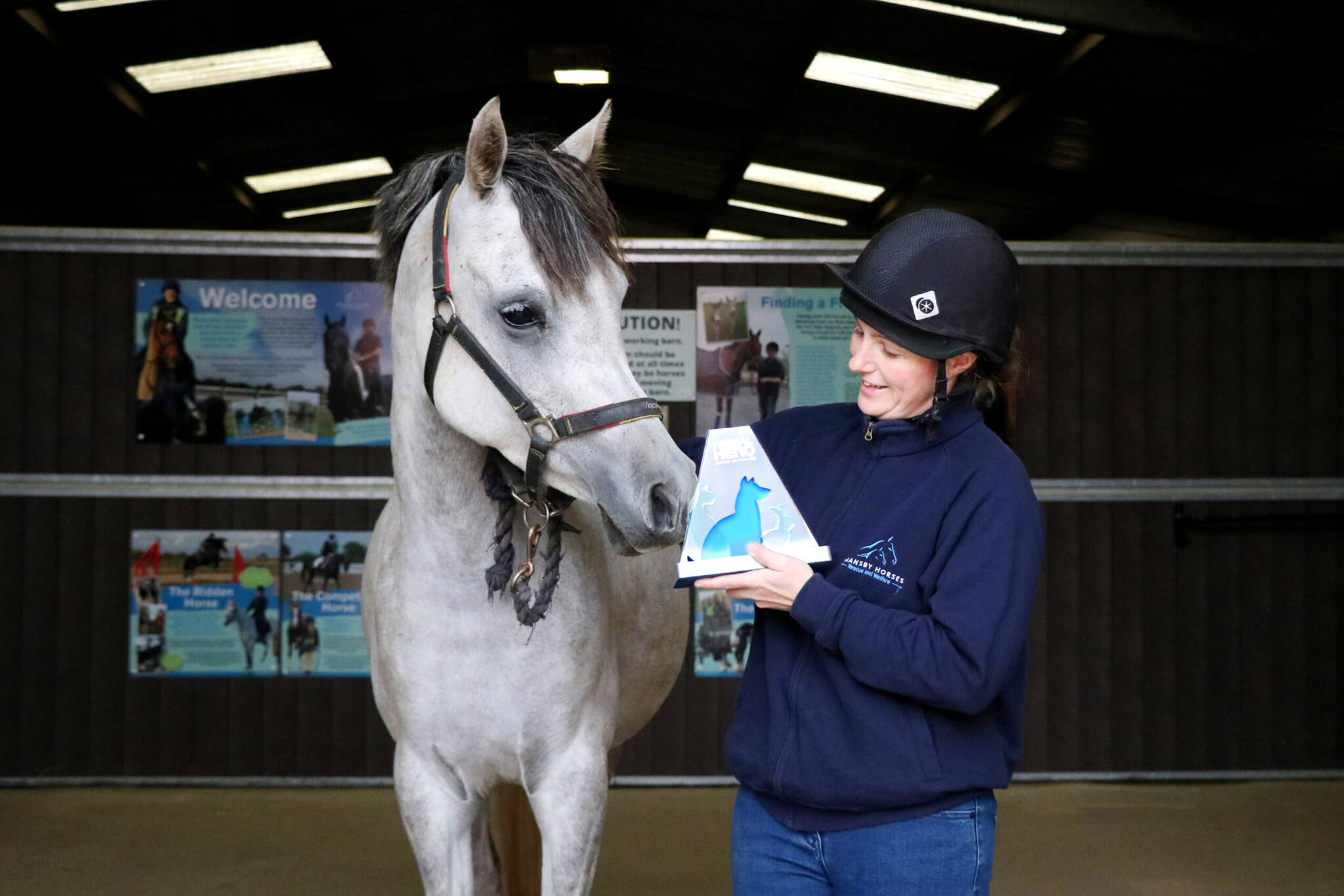 grey arab horse receiving an award with a member of staff