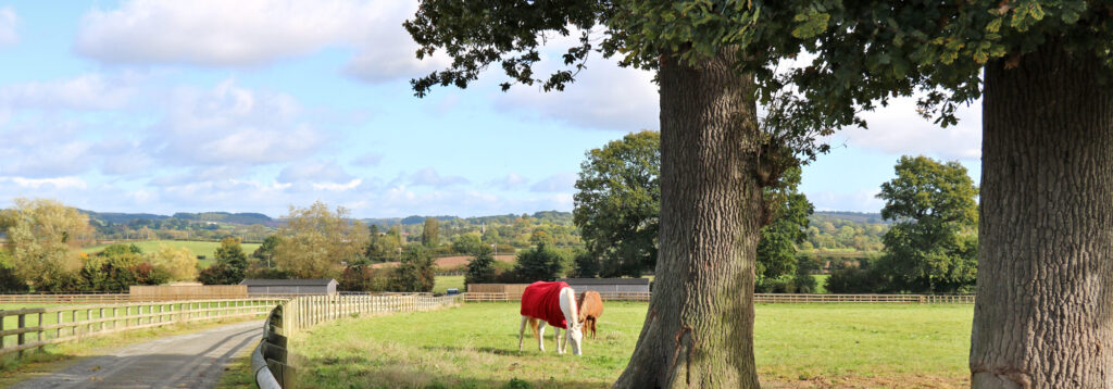 landscape shot of a farm with two horses grazing in a field