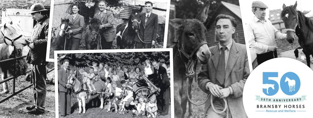 collage of old photos featuring founder peter hunt, in celebration of Bransby Horses' 50th anniversary