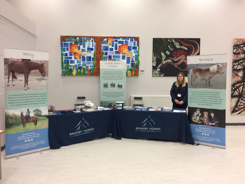 member of staff stood behind a stand showcasing bransby horses and some of the equines we've looked after