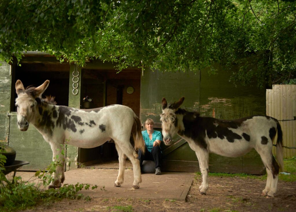 two donkeys stood in front of their fosterer and their stables