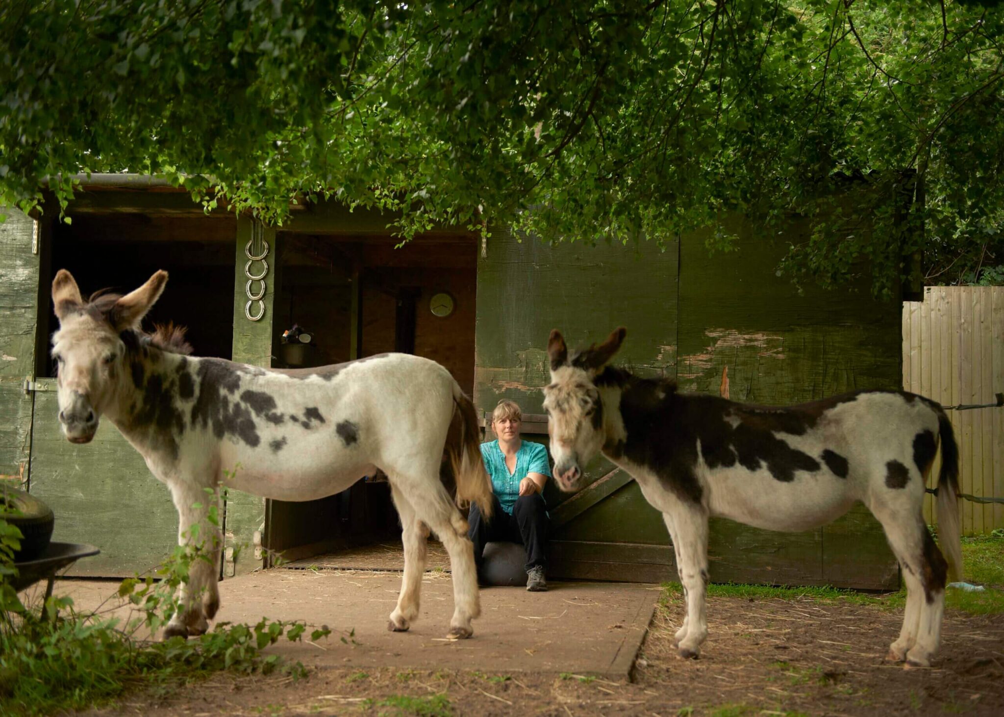 two donkeys stood in front of their fosterer and their stables