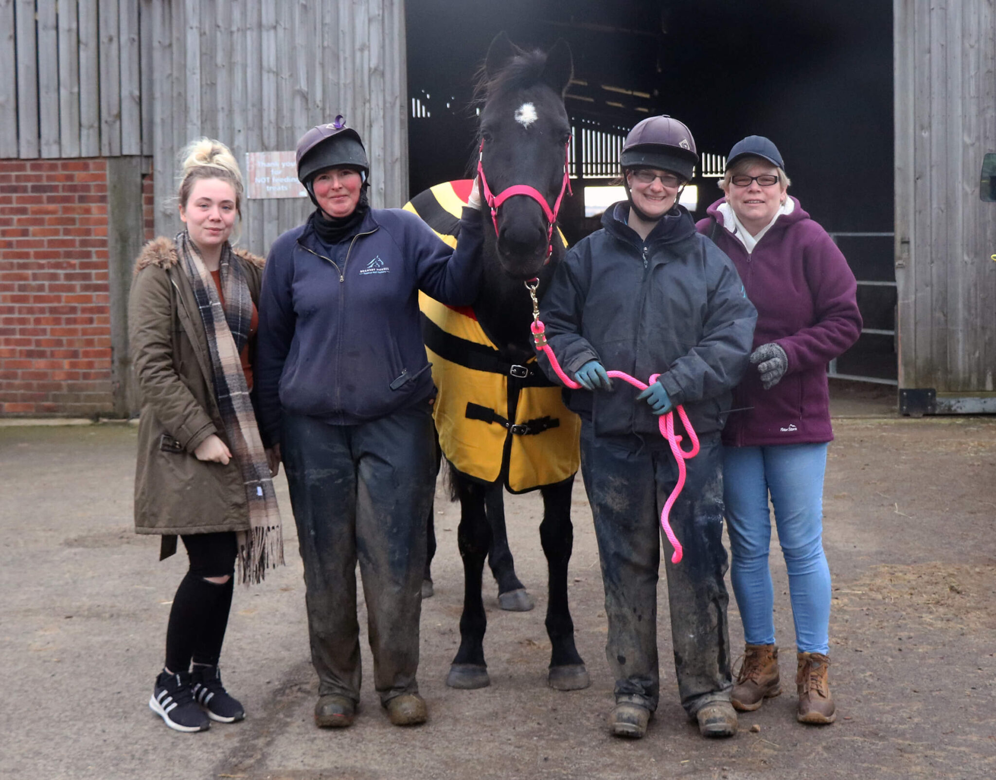 black mare stood with team members wearing a rug and a pink headcollar