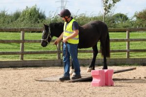 'Five Freedoms' Trail & Peter Hunt Handling Yard ‘Confidence Building’ talk/demo @ Bransby Horses  | Bransby | England | United Kingdom
