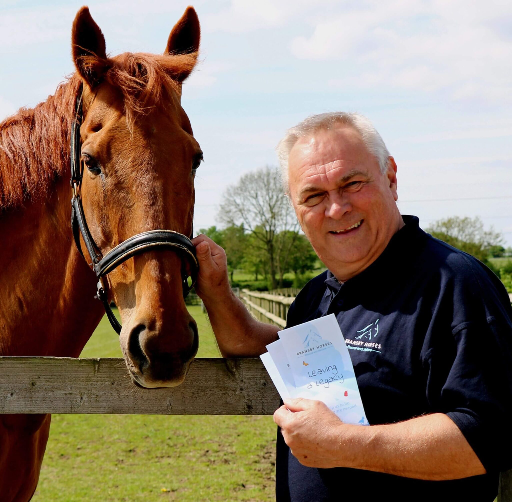 Bransby horses member of staff standing next to a chestnut horse