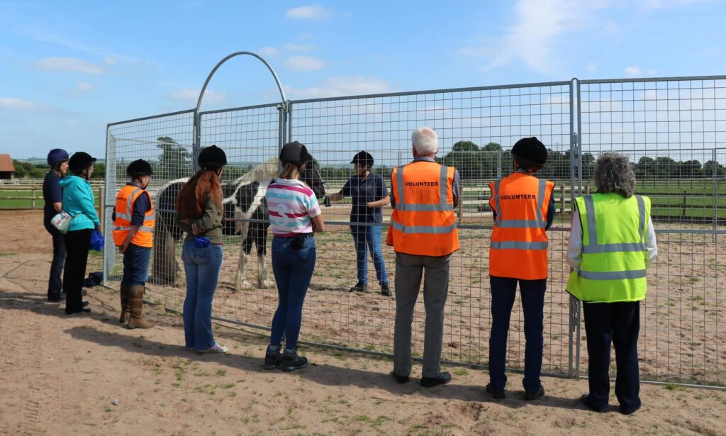 group of volunteers stood outside a gated off area watching a demonstration between pony and handler