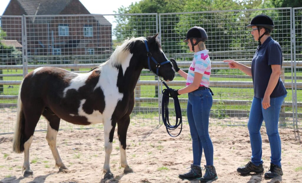 two member of staff practising handling with a skewbald pony in a menage