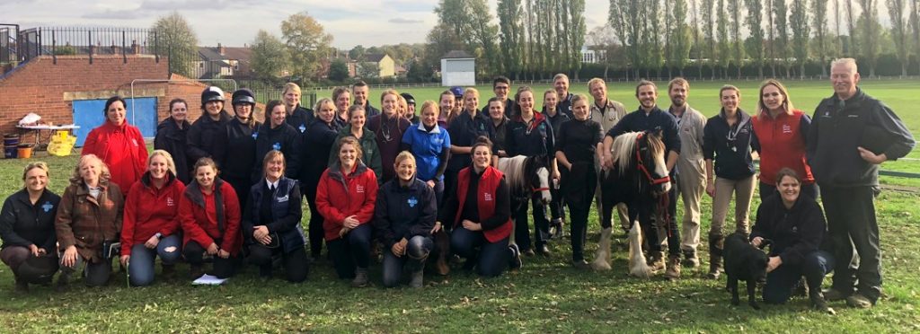 large group of people stood in a field posing for a photos, a few small ponies stand in the middle