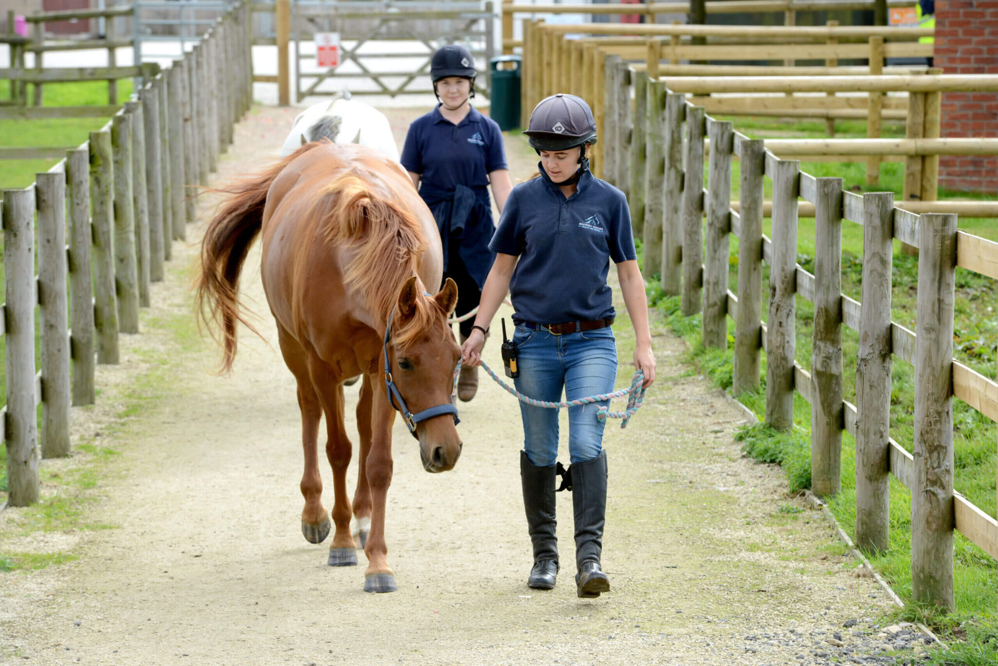 two members of staff leading two horses down a path at bransby