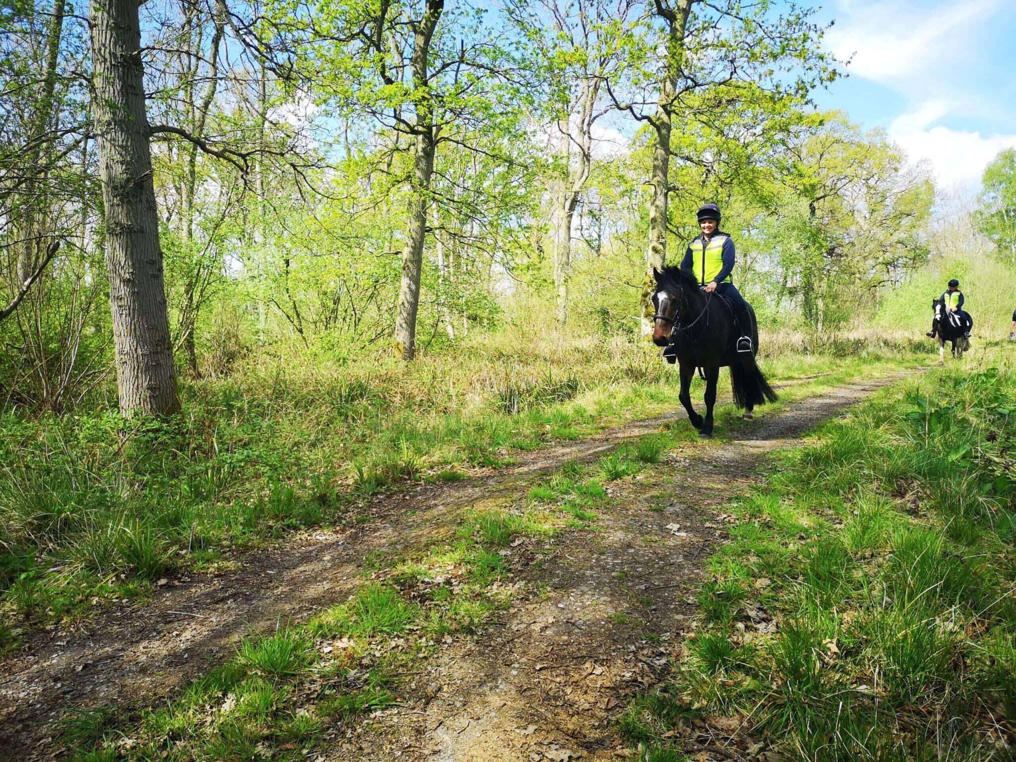 two ponies being ridden on a hack through a wooded area