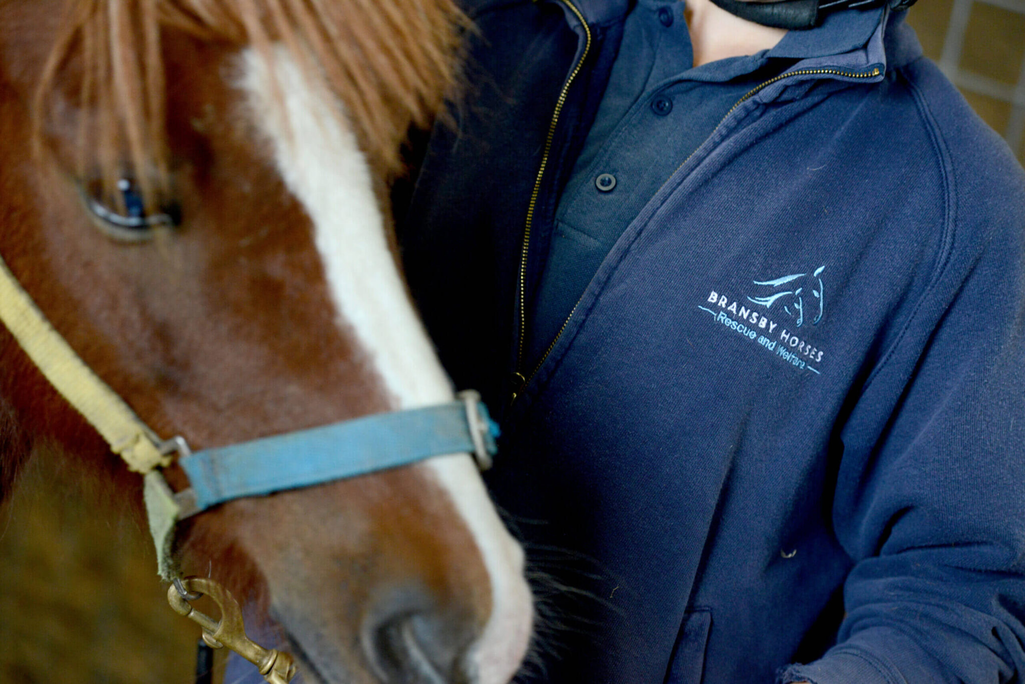 close up of bransby member of staff standing next to a pony