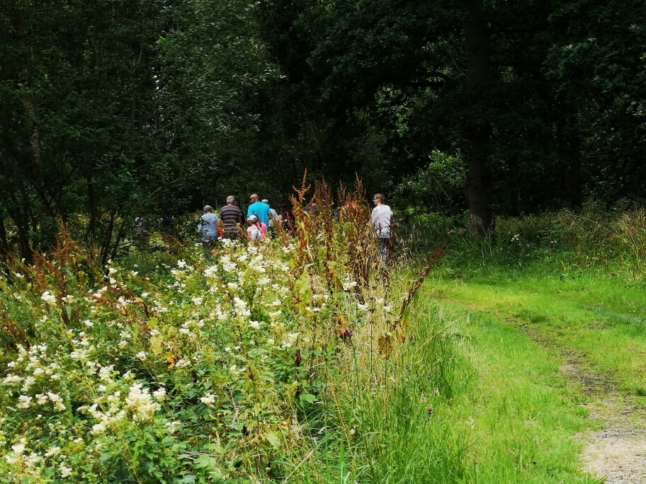 group of people walking through a wooded area