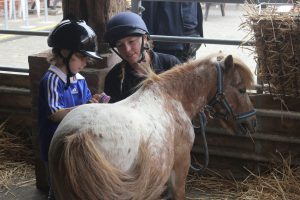 Pony Grooming @ Bransby Horses