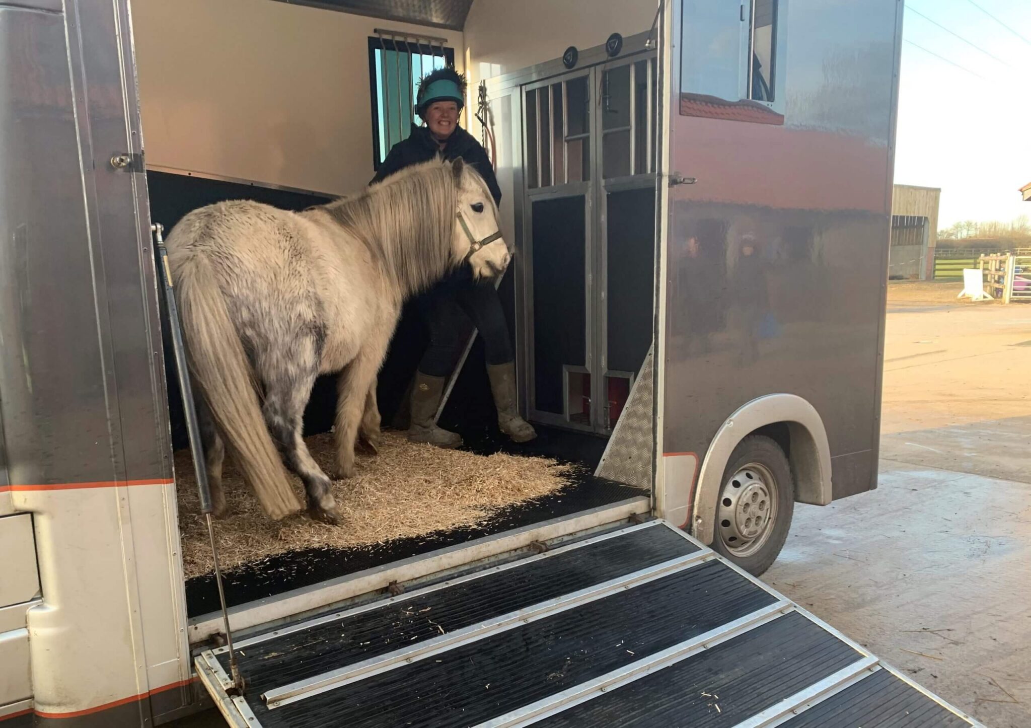 grey mare standing in a horse trailer ready to go to her new home