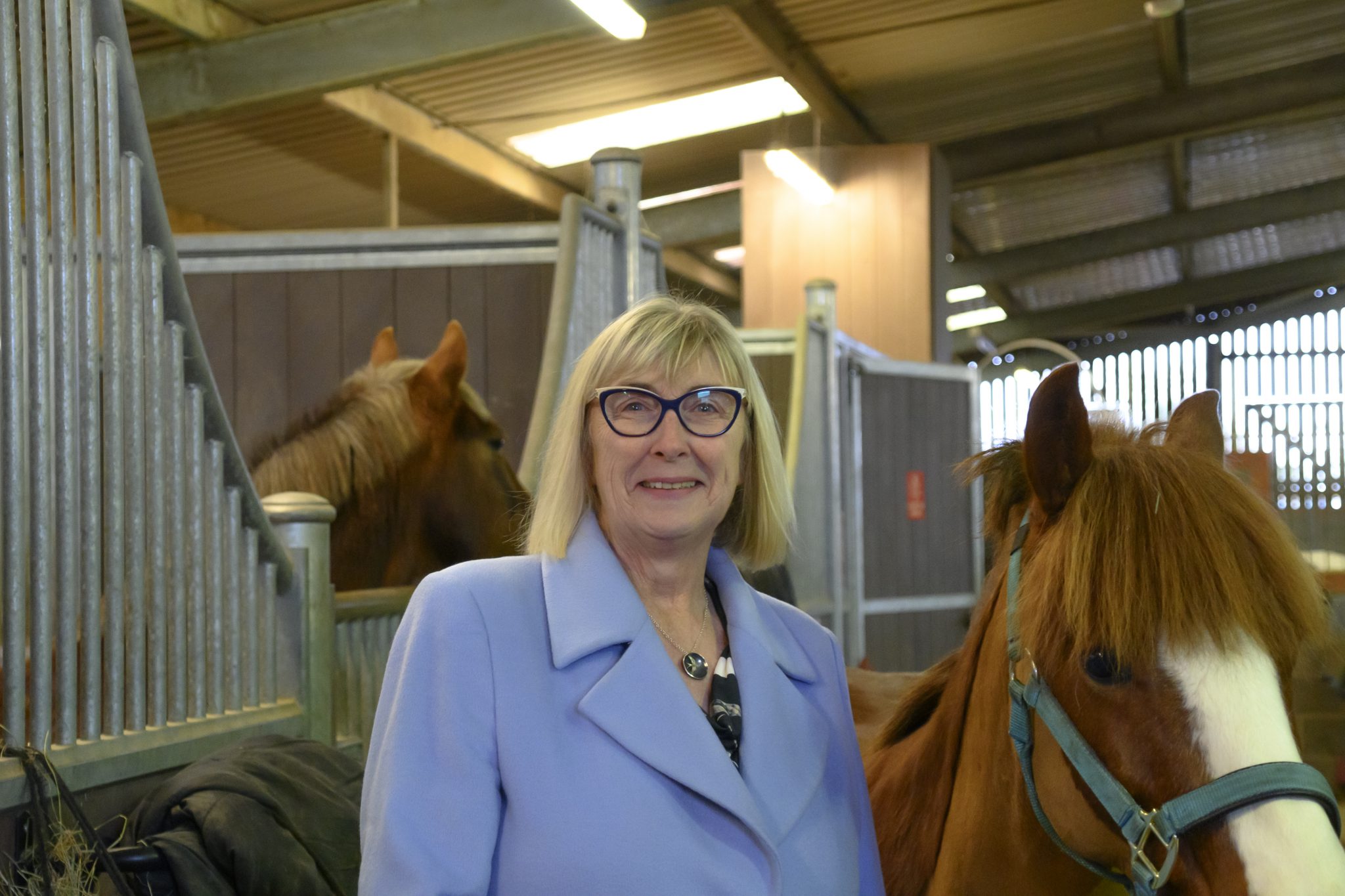 member of the trustee board stood in a barn next to a chestnut pony
