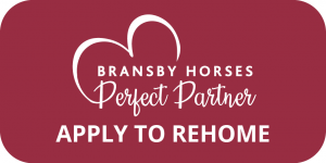 perfect partner scheme, apply to rehome