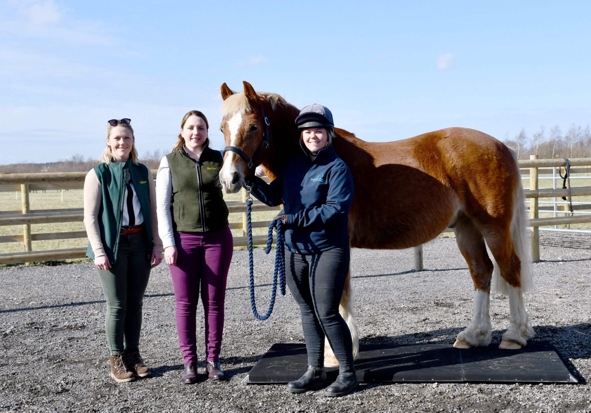 Horse stood with three people in a fenced area
