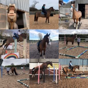 Collage of charlie, jumping etc