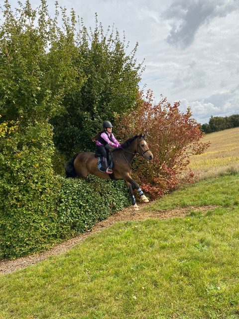 Ben jumping bush