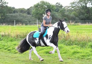 Griffith cantering