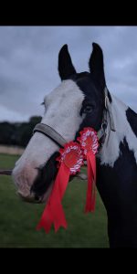 Griffith with rosette