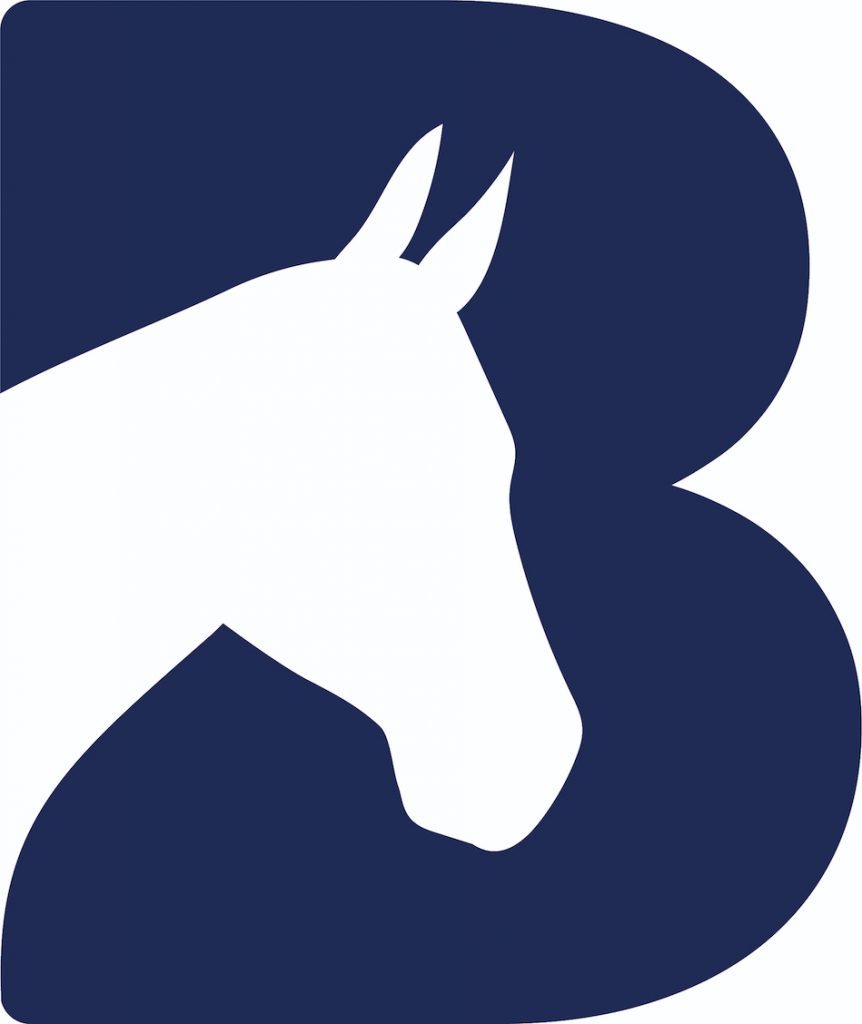 Bransby Horses unveils new branding - Bransby Horses