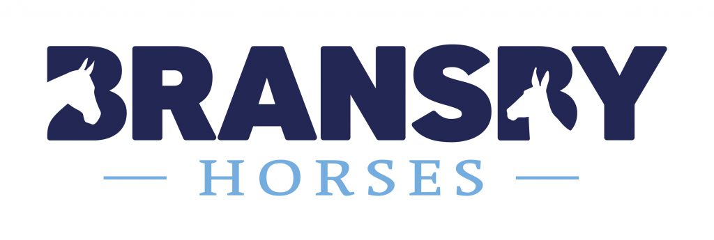 Bransby Horses Statement on Charlotte Dujardin Video
