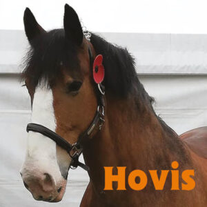 Hovis' Friday Diaries