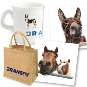 Bransby Horses Branded