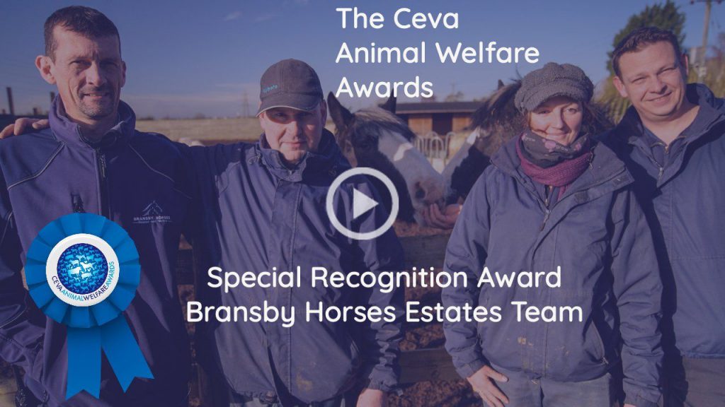 Ceva Animal Welfare Awards