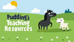 Pudding's Teaching Resources