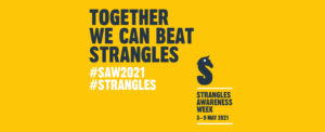Strangles Awareness Week 2021
