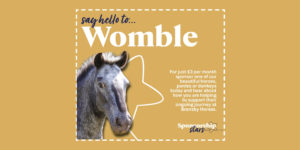 Sponsor Womble