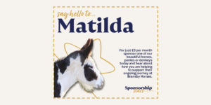 Sponsor Matilda