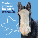 £40 A Gift of Warmth