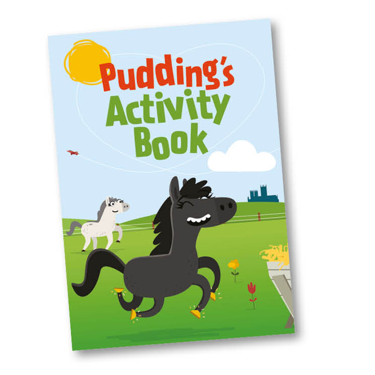 pudding's activity book front cover