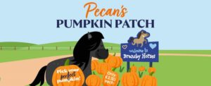 Pecan's Pumpkin Patch