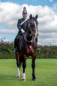 Police Horse Captain