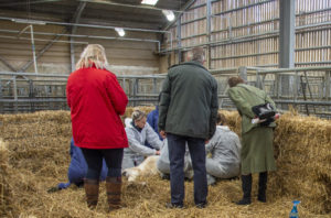 Castration as HRH The Princess Royal looks on