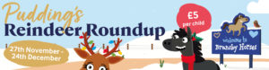 Pudding's Reindeer Roundup Is Now On!