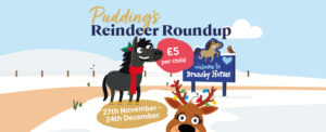 Pudding's Reindeer Roundup!