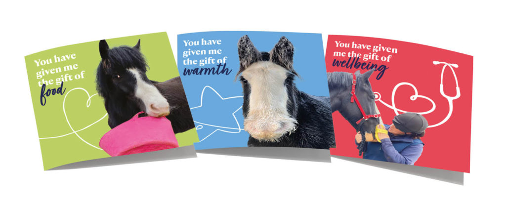 Christmas Gift Cards