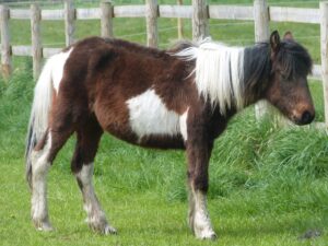 Phantom on arrival ARC Phantom on arrival