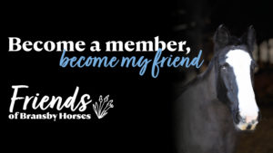Become a Friend of Bransby Horses