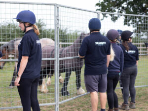 Phantom4 horses being rescued using a pen